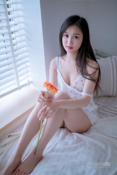 擒狼电视剧