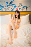 P2PSearcher种子搜索