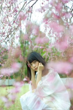 樱花树下
